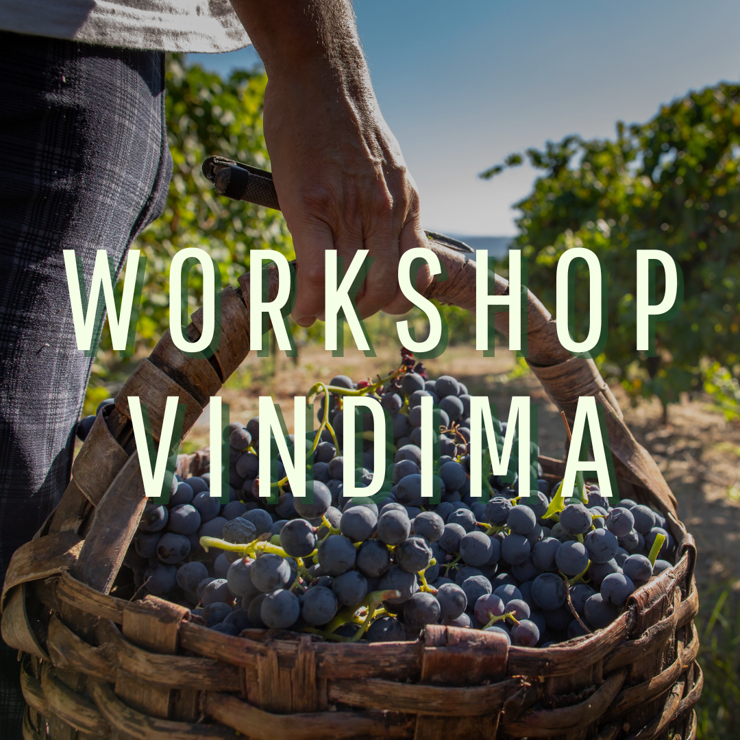 Workshop Vindima