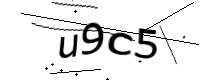 captcha_img